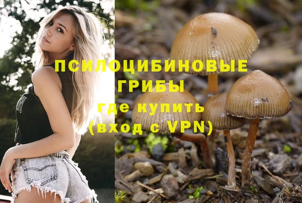 дурь Алексеевка