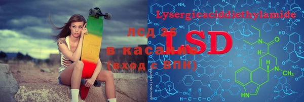 apvp Алзамай