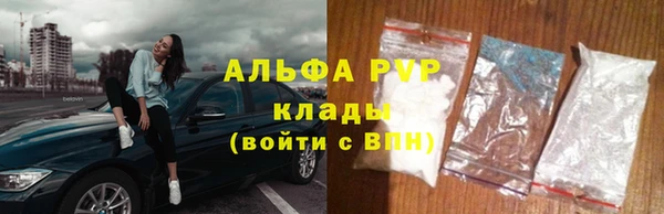 apvp Алзамай