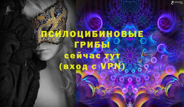 PSILOCYBIN Алексин