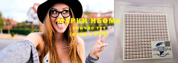 apvp Алзамай